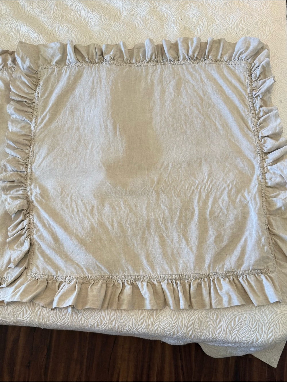 Pottery Barn Ruffled Euro Pillow Shams - Cream Linen